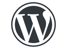 WordPress診断